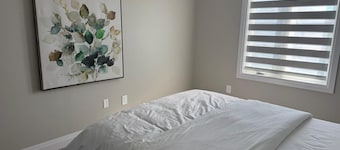 5 Bedrooms deluxe, Hyde Park Mall and Western University area Sleep up to 10