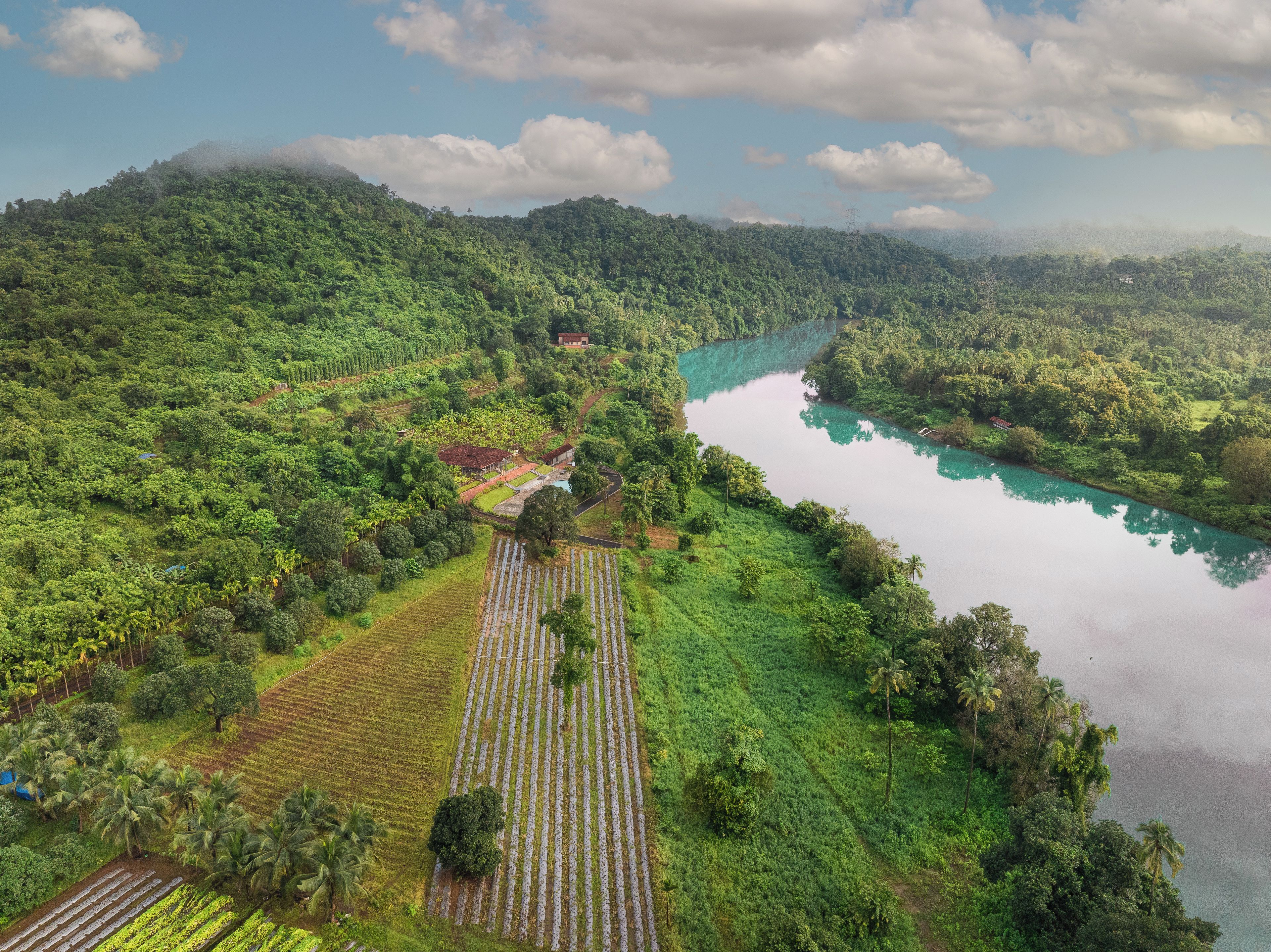 A lush landscape with a river, dense forest, and agricultural fields.
