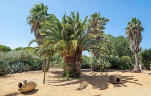 Un jardin désertique agrémenté de palmiers, de cactus et de deux grands pots en céramique.