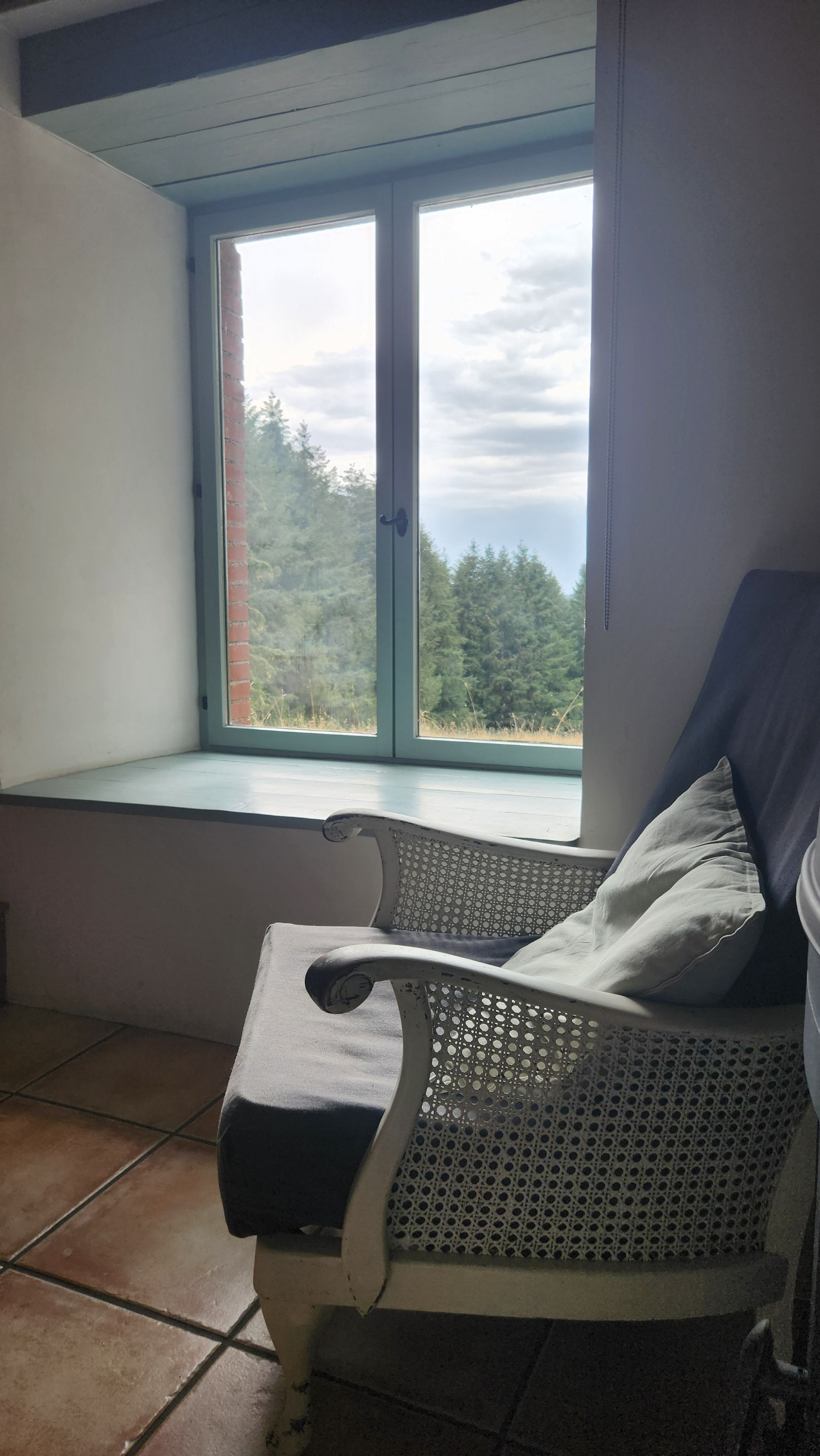 Una stanza con vista su una foresta, una sedia con cuscino e pavimento piastrellato.