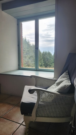 Una habitación con ventana que da a un bosque, una silla con cojín y suelo de baldosas.
