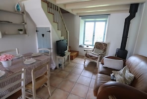 Télévision, cheminée, table de tennis de table
