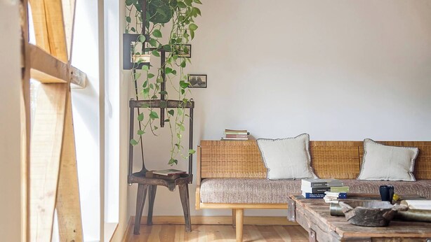 Une pièce avec un plancher en bois, un canapé avec des coussins, une table basse, une plante suspendue et une bibliothèque.