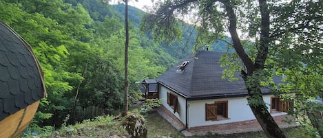 A house with a sloped roof, a wooden door, and a window with shutters, surrounded by lush greenery and a stone pathway.