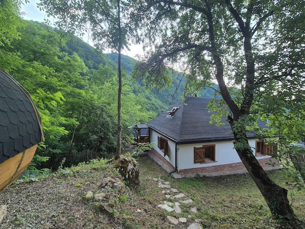 A house with a sloped roof, a wooden door, and a window with shutters, surrounded by lush greenery and a stone pathway.