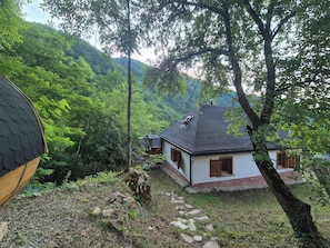 Exterior - Quaint 2-bedroom chalet in enchanting Sub Piatră getaway (Sub Piatră)