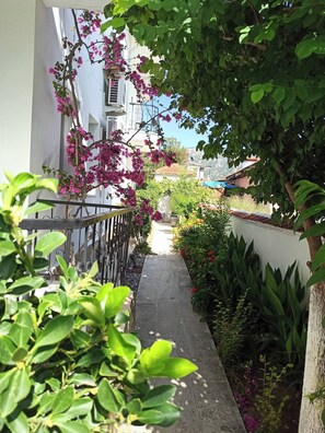 A narrow pathway flanked by lush greenery and flowering plants, leading to a building with a white exterior and a red roof. - Garden-view suite room (Ortaca)