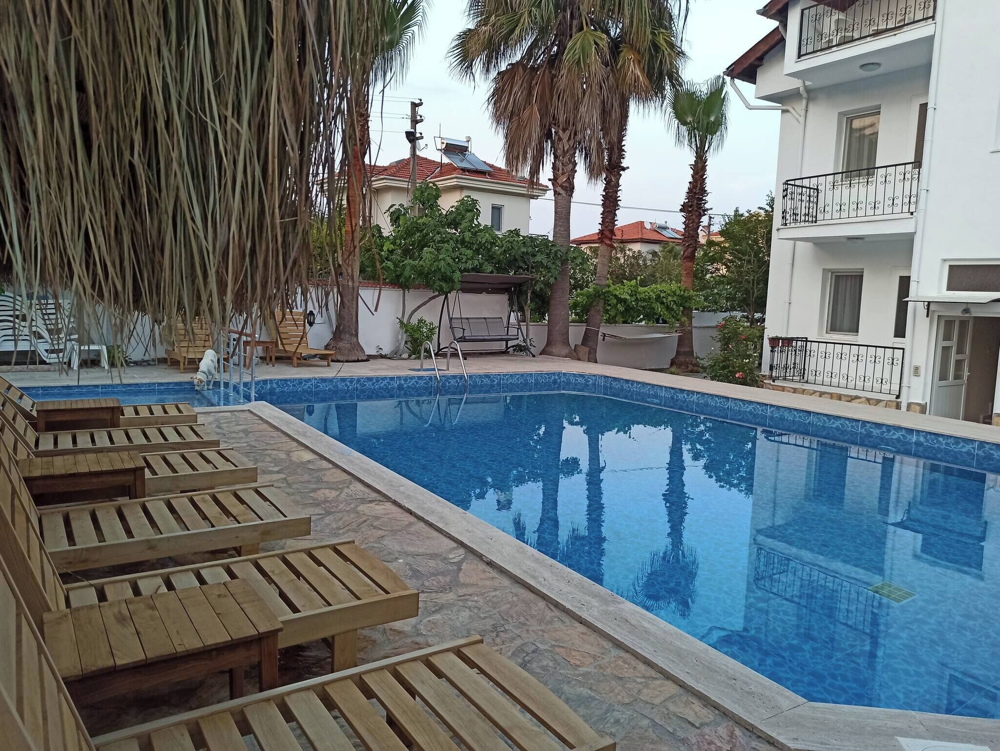 Una piscina con tumbonas de madera y una silla colgante, rodeada de palmeras y un edificio con balcones.