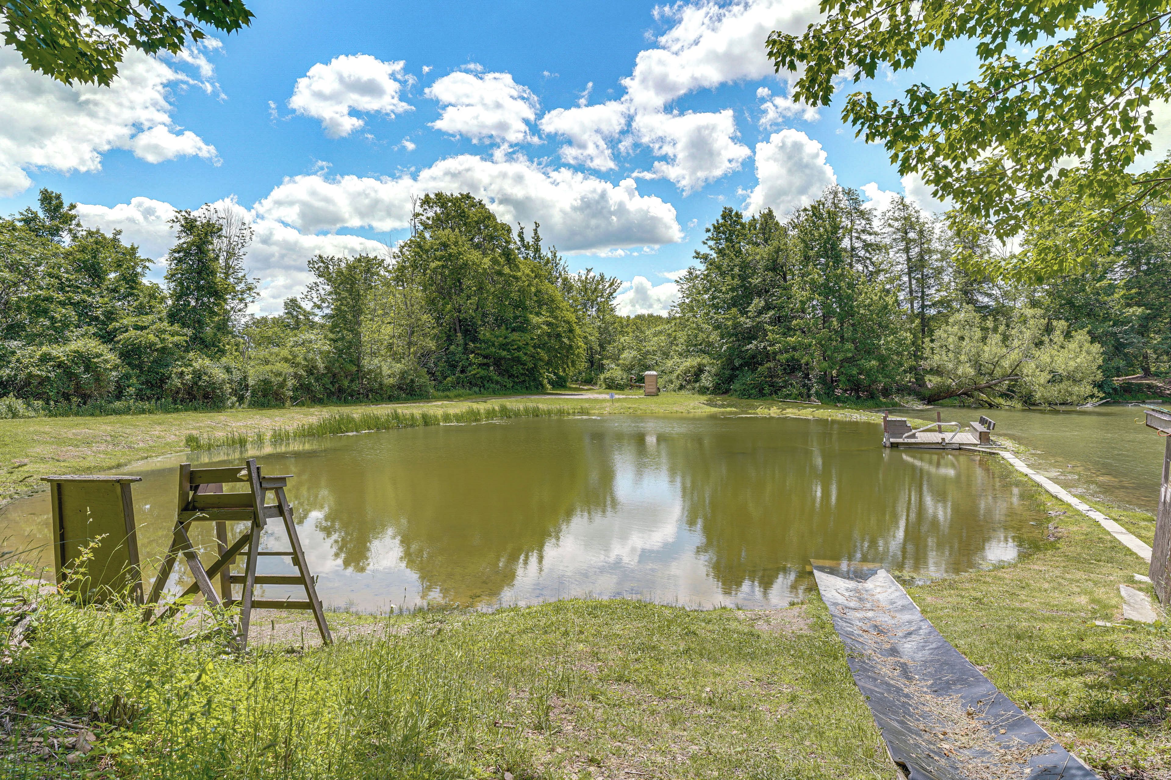 A tranquil pond with a wooden bench and a ladder, surrounded by lush greenery and trees.