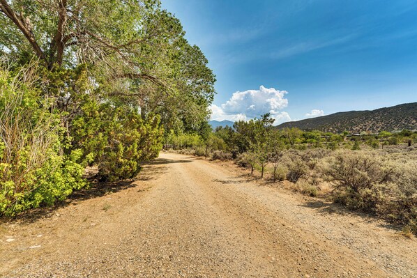 A gravel road flanked by dense green vegetation and a clear blue sky. - Traditional Taos Adobe Casita: Comfortable & Quiet (Taos)