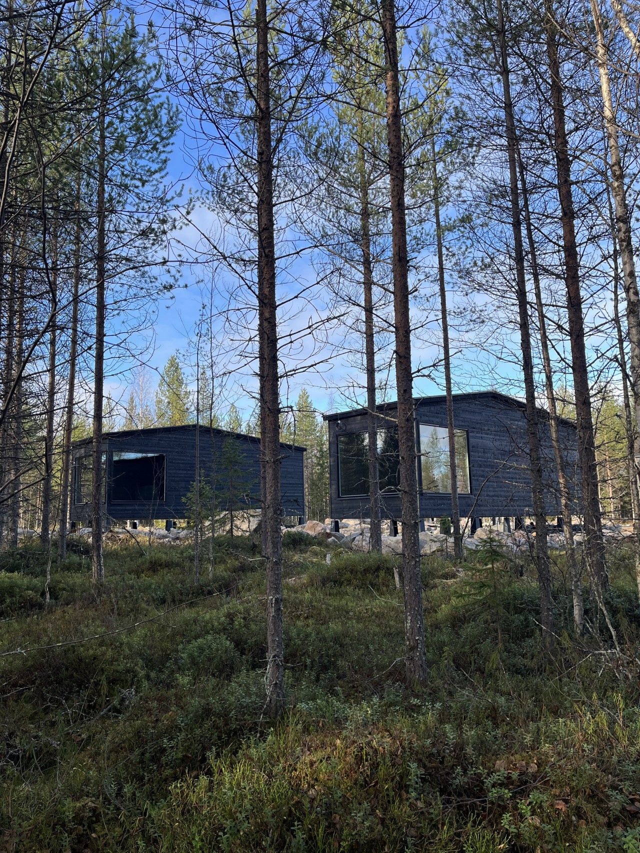 Two modern cabins in a forest setting.