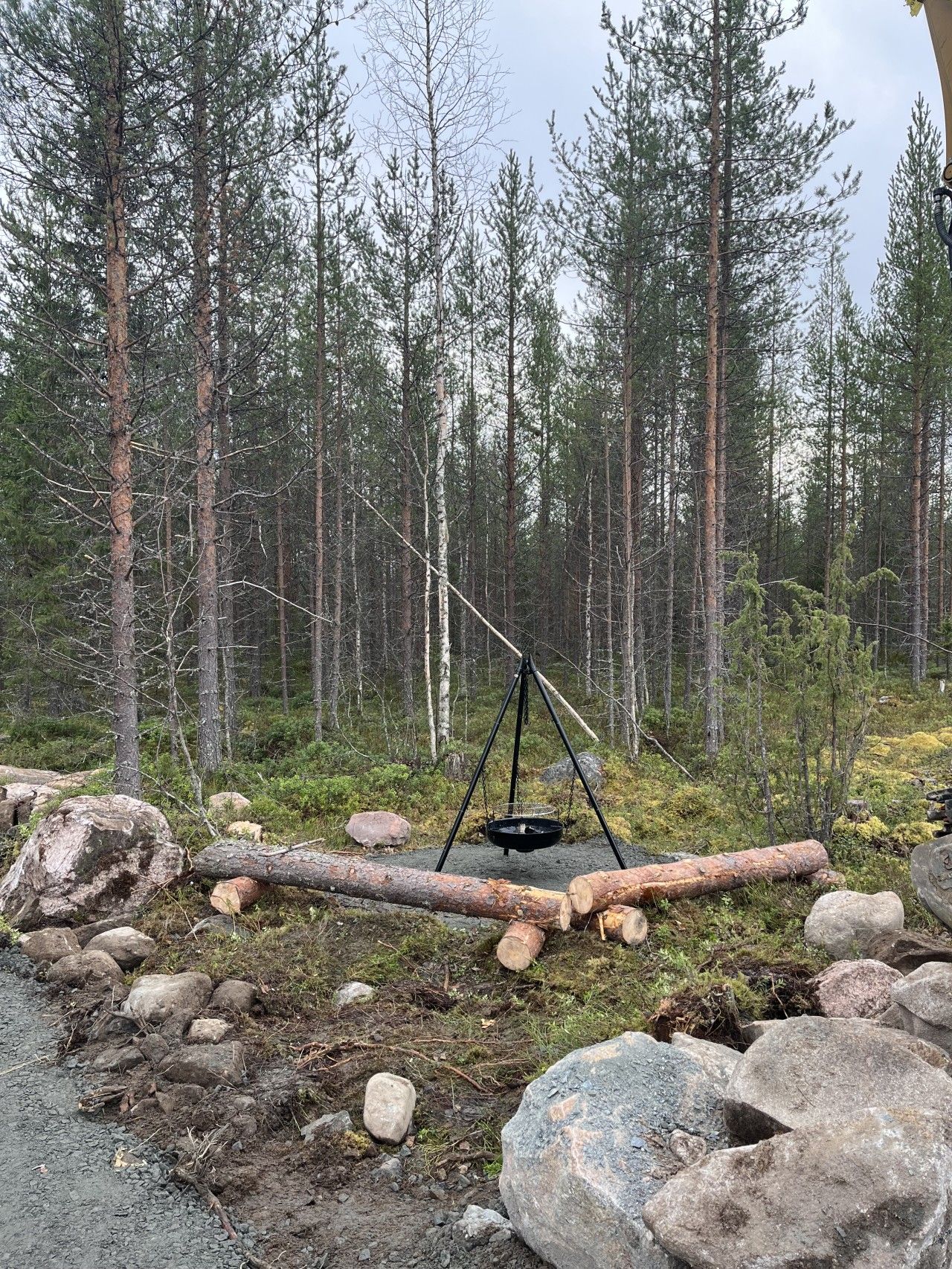 Ein Wald mit einer metallenen Dreibein-Struktur und einer schwarzen Schüssel.