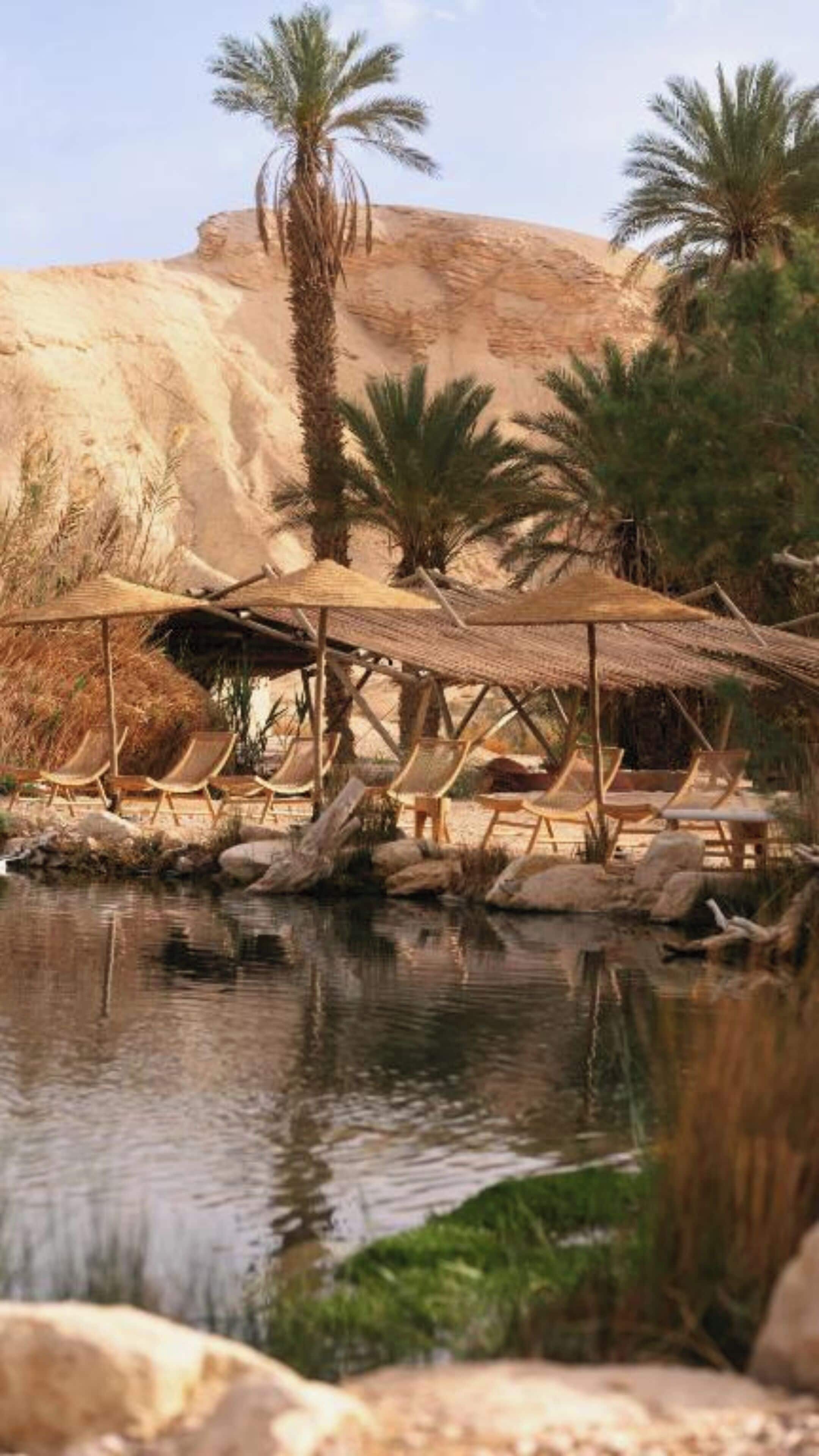 Un oasis en el desierto con un pequeño estanque, palmeras y una zona de descanso con sombra.