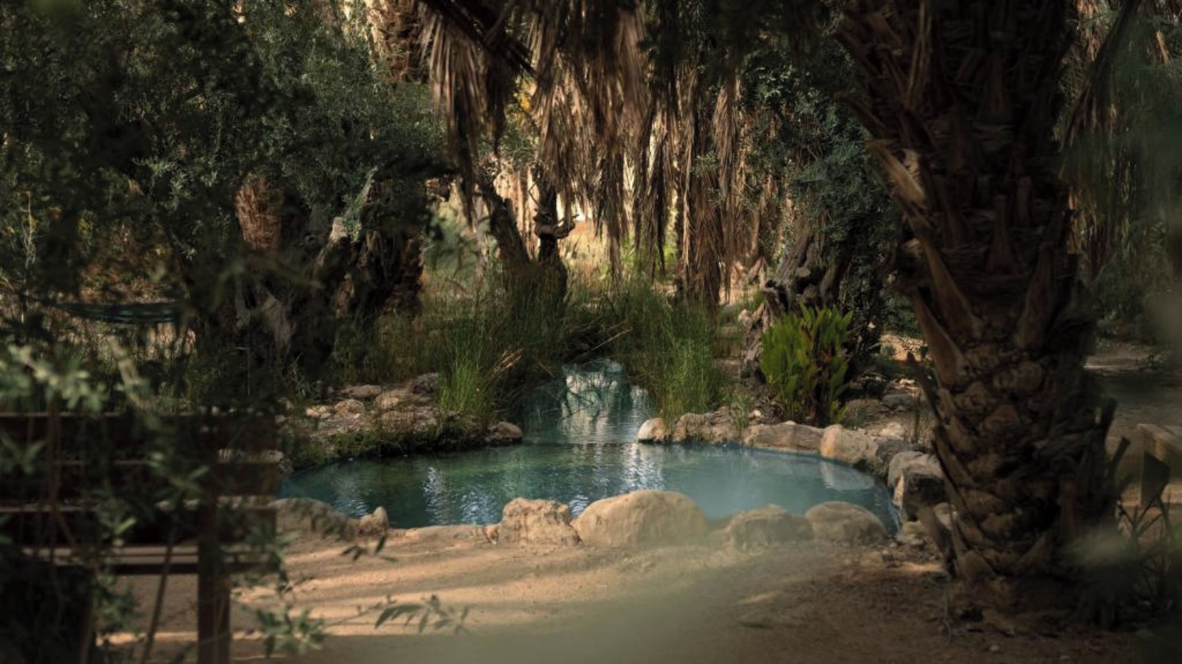 Una piscina al aire libre, sombrillas, sillones reclinables de piscina