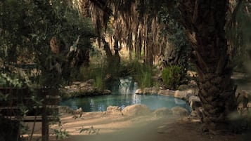 Una piscina al aire libre, sombrillas, sillones reclinables de piscina