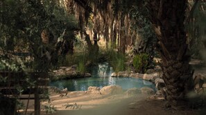 A natural outdoor setting with a pond, rocks, and trees.