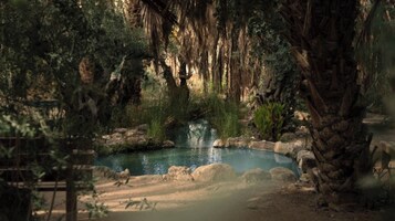 Un entorno natural al aire libre con un estanque, rocas y árboles.