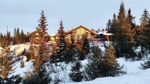 Een vakantiehuisje van hout met een terras, omgeven door sneeuw en bomen.