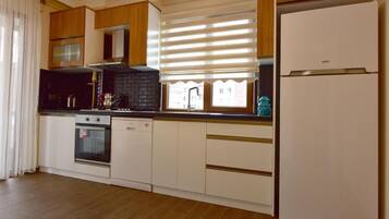 Fridge, oven, stovetop, dishwasher