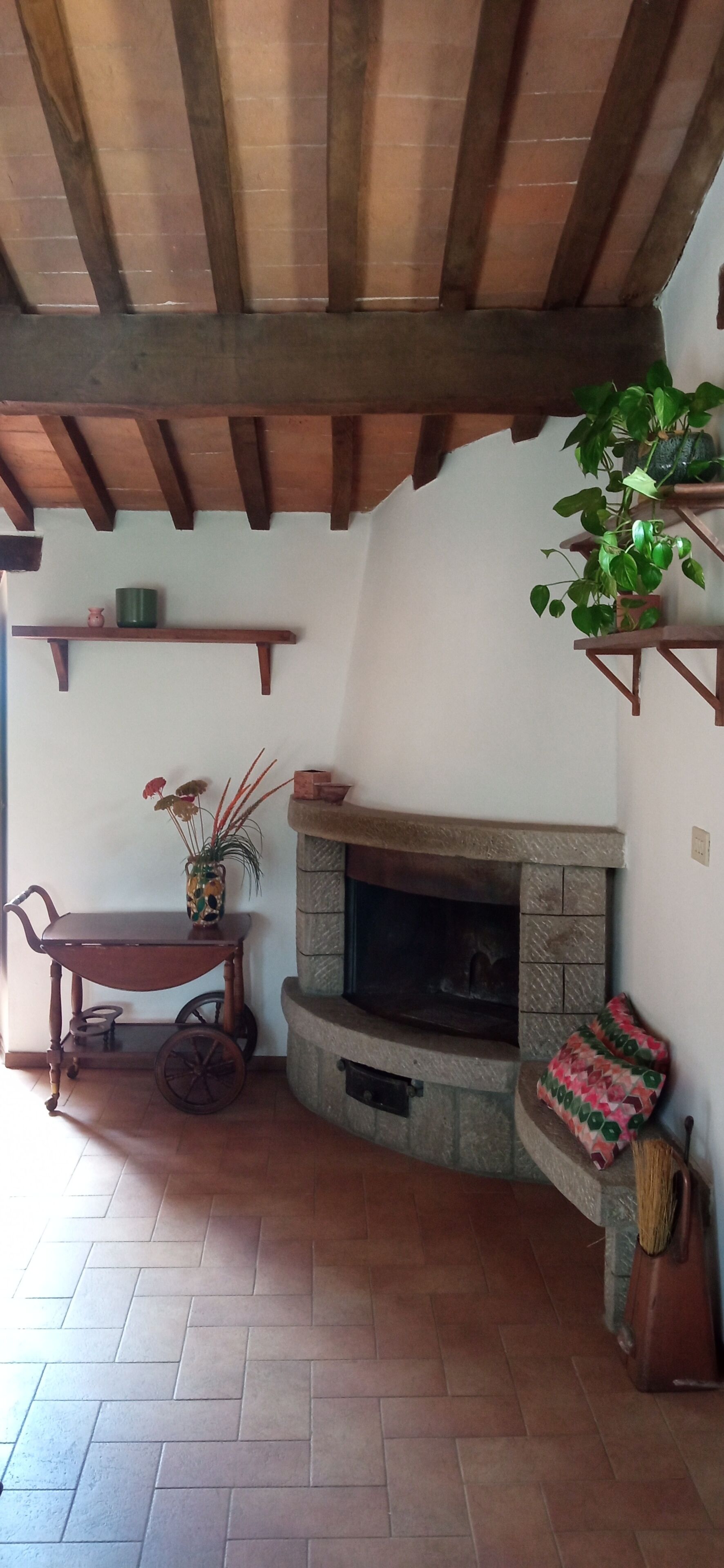 A rustic interior with a stone fireplace, wooden beams, a table with a plant, and a chair.