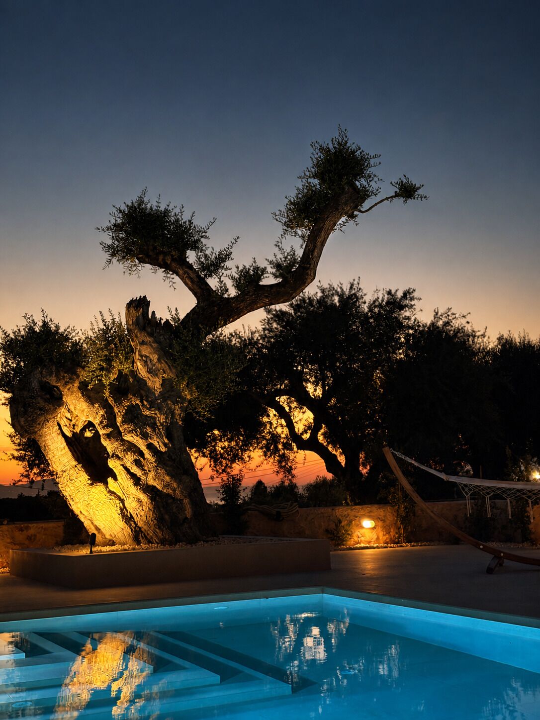 A pool area with a tree and a hammock.