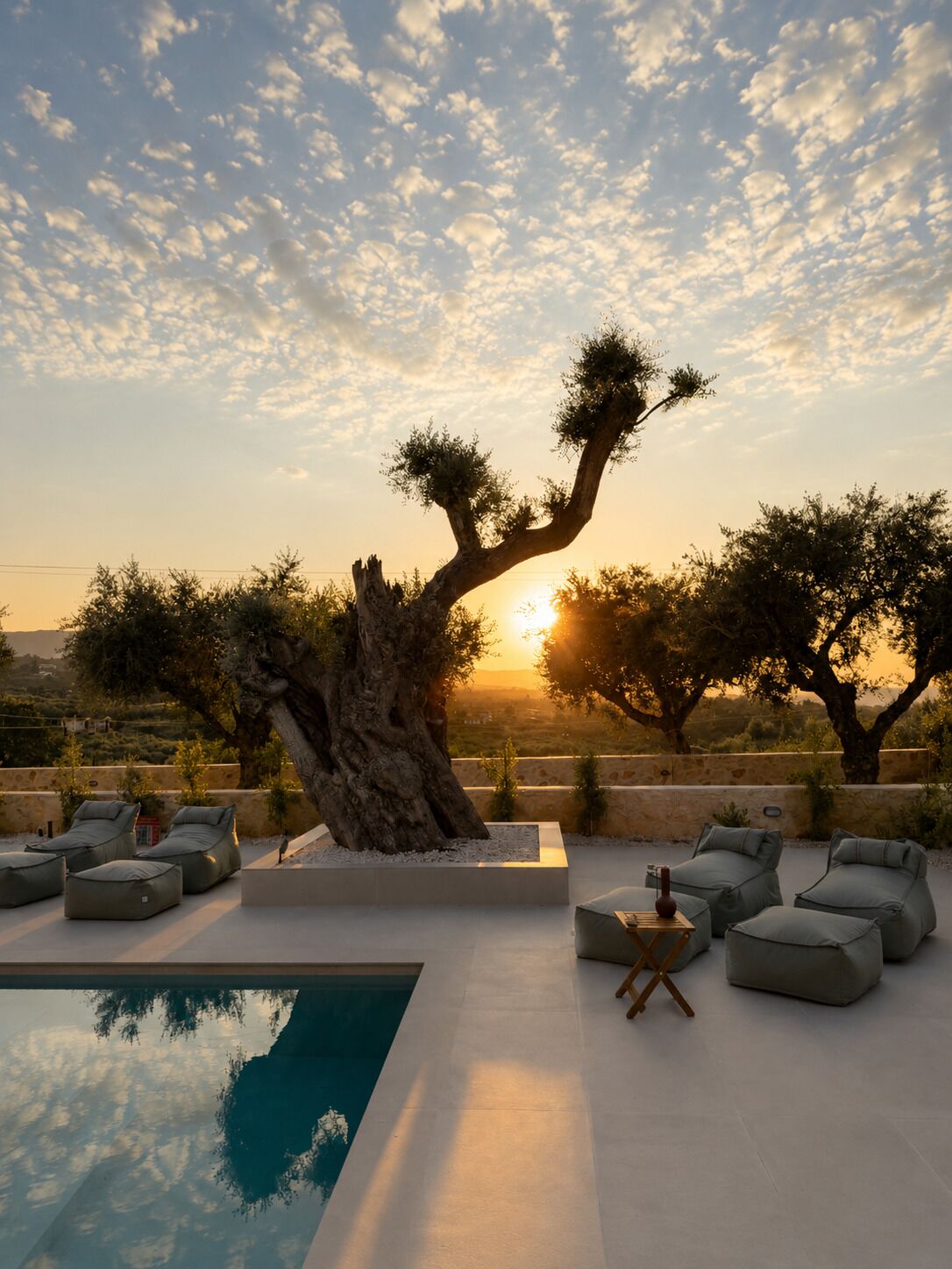 A poolside area with lounge chairs, a large tree, and a view of the sunset.