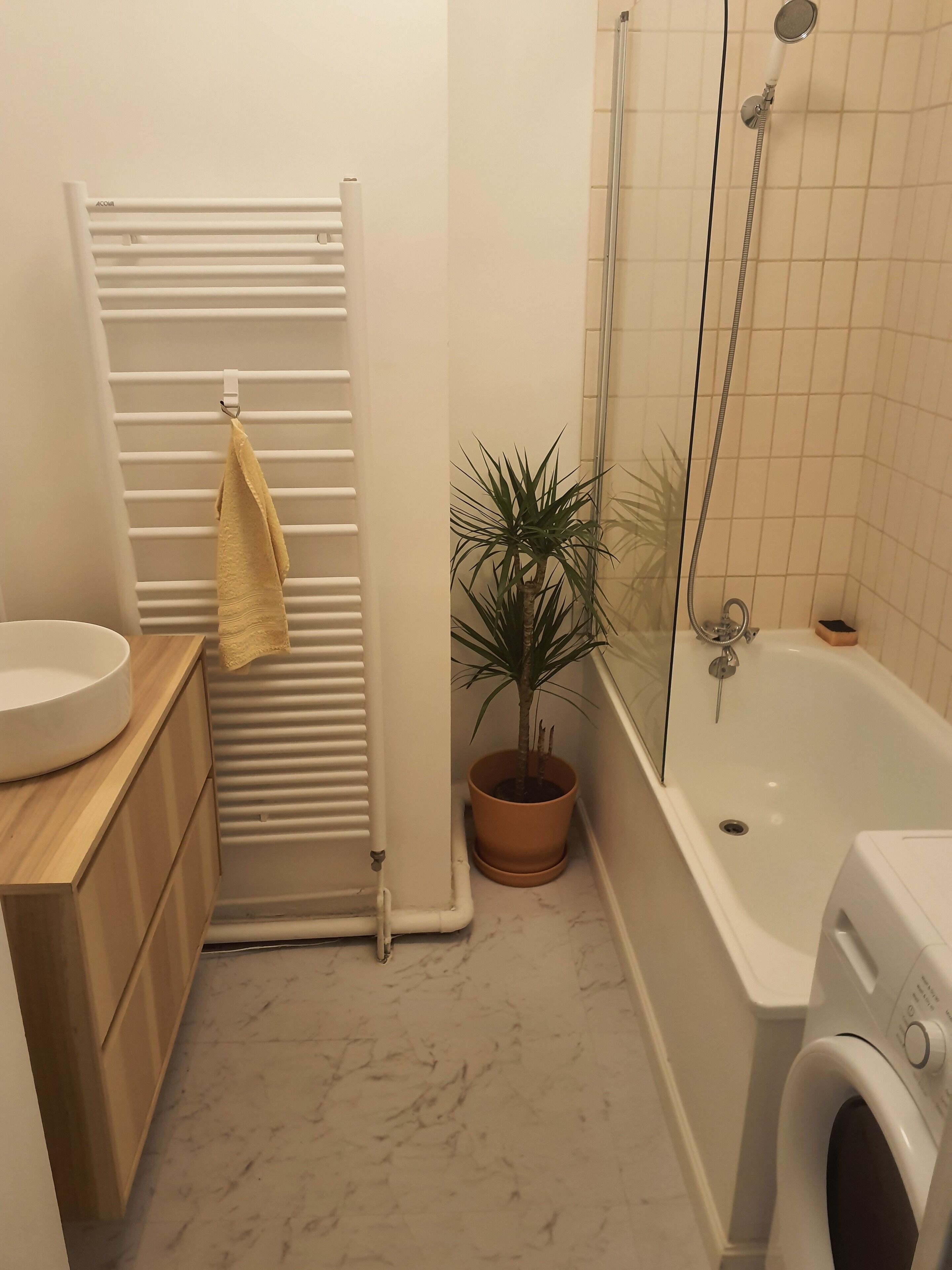Hair dryer, towels, toilet paper