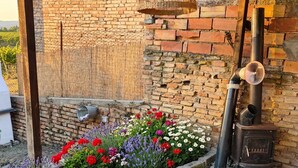 En mur af mursten med en rustik trækonstruktion, en sti af sten og et blomsterbed med forskellige blomster.