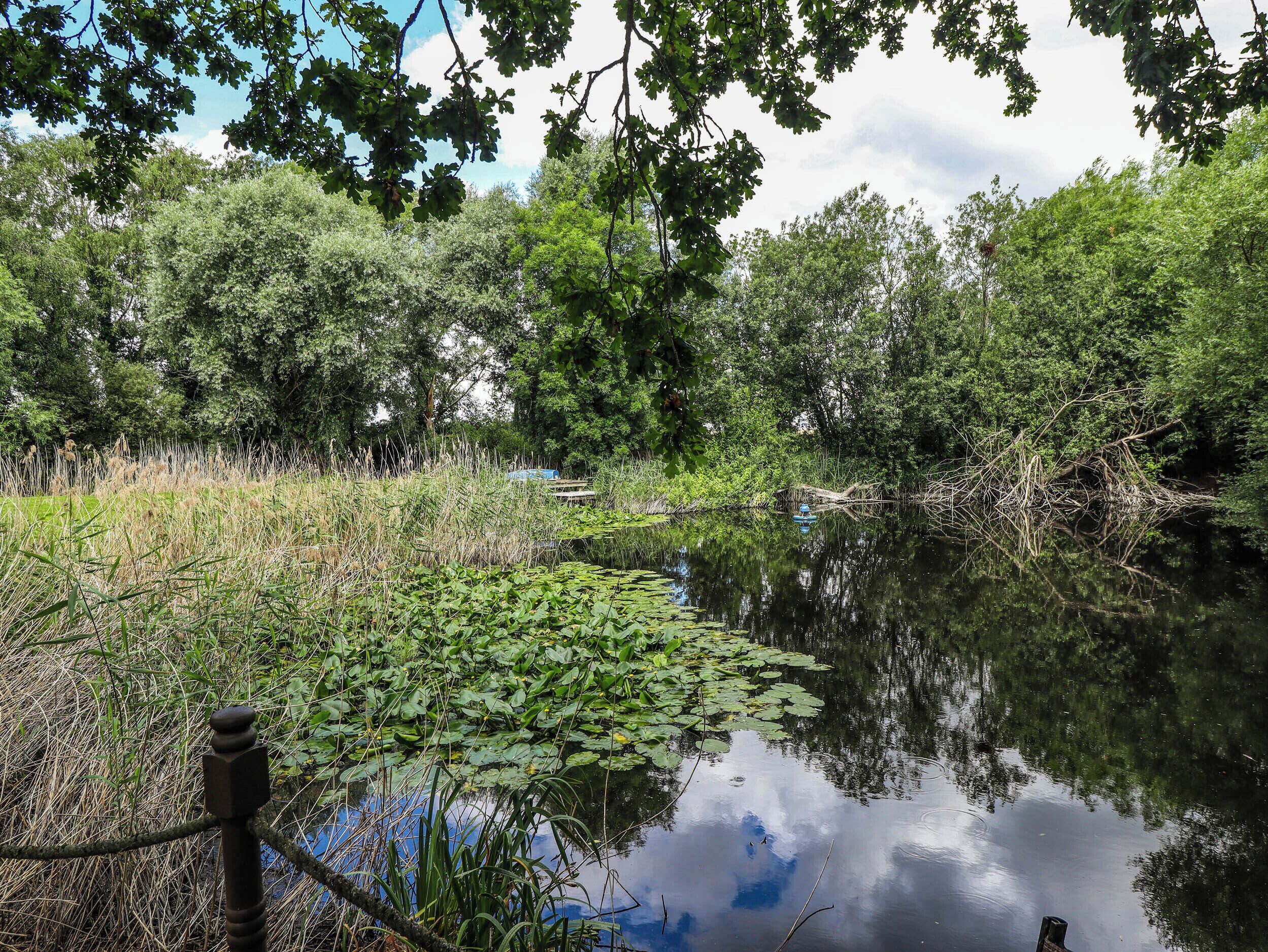 Parco della struttura