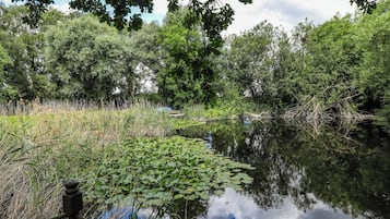 Parco della struttura