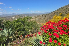 A landscape with a valley, green vegetation, and red flowers. - Andalusian villa, private pool & mountain views (Loma las Chozas)