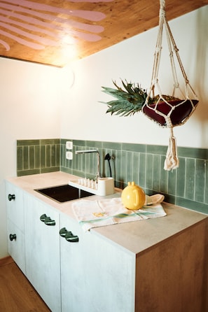A kitchen with a wooden ceiling, a hanging plant, a sink, and a yellow pot on the counter. - Casa Calma | Somewhere Between Venice and Everything Else (Noale)