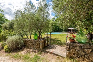 Un sendero de piedra que conduce a una zona de piscina rodeada de árboles y plantas en macetas.