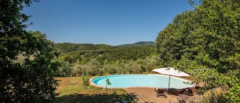 Una piscina de borde curvo, rodeada por un jardín con plantas de lavanda.