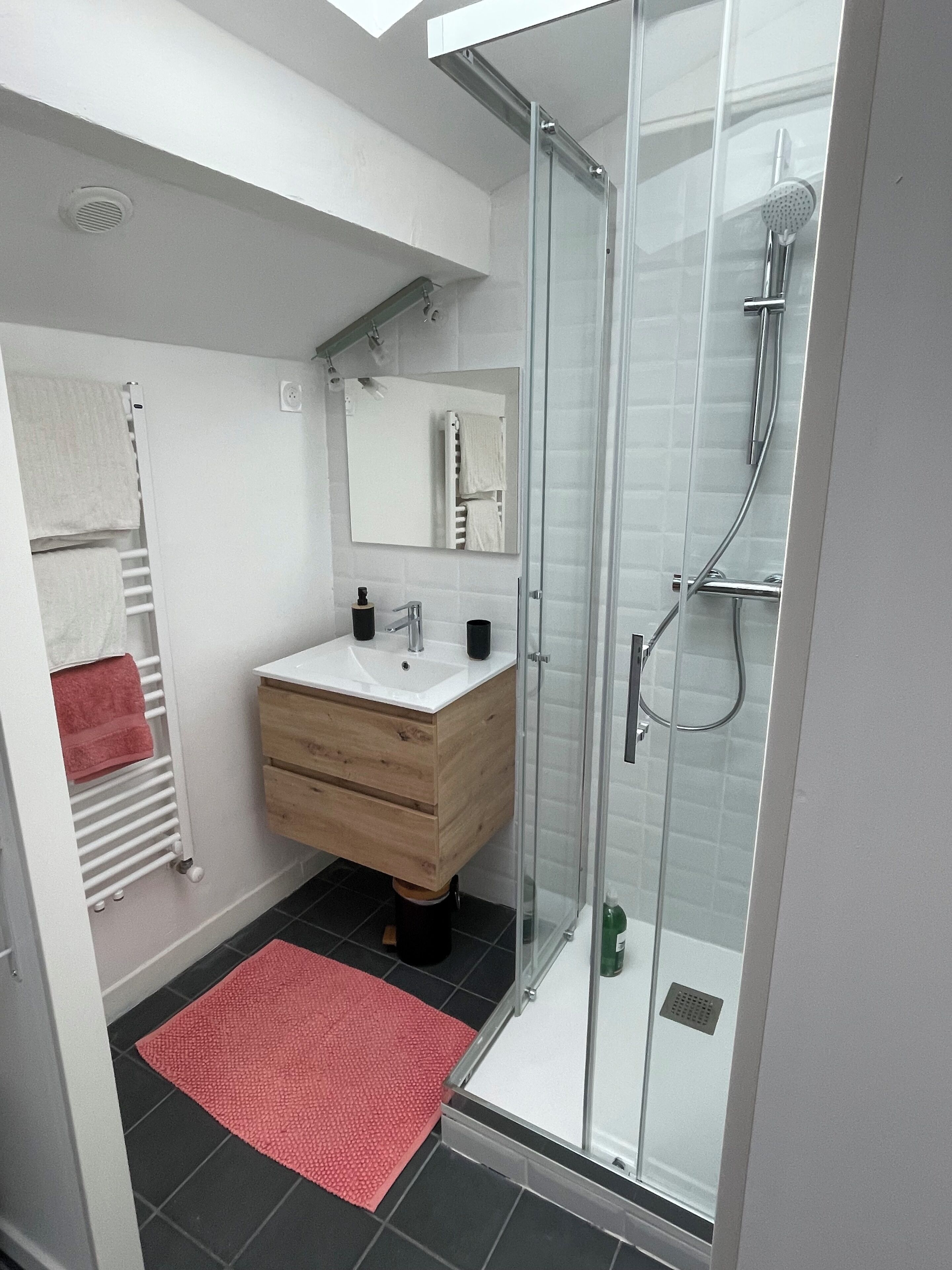 Shower, towels, soap, toilet paper
