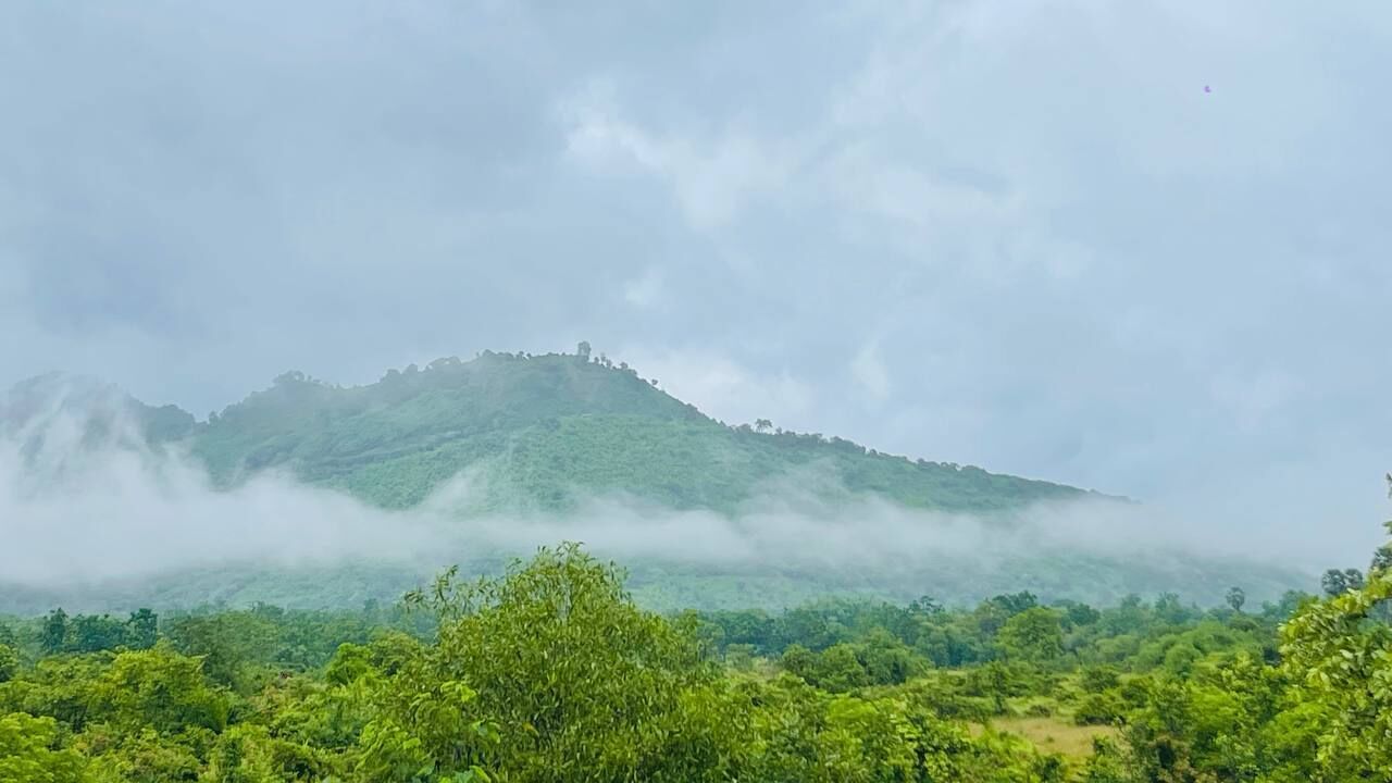 Un paisaje montañoso con vegetación densa y una colina cubierta de niebla.