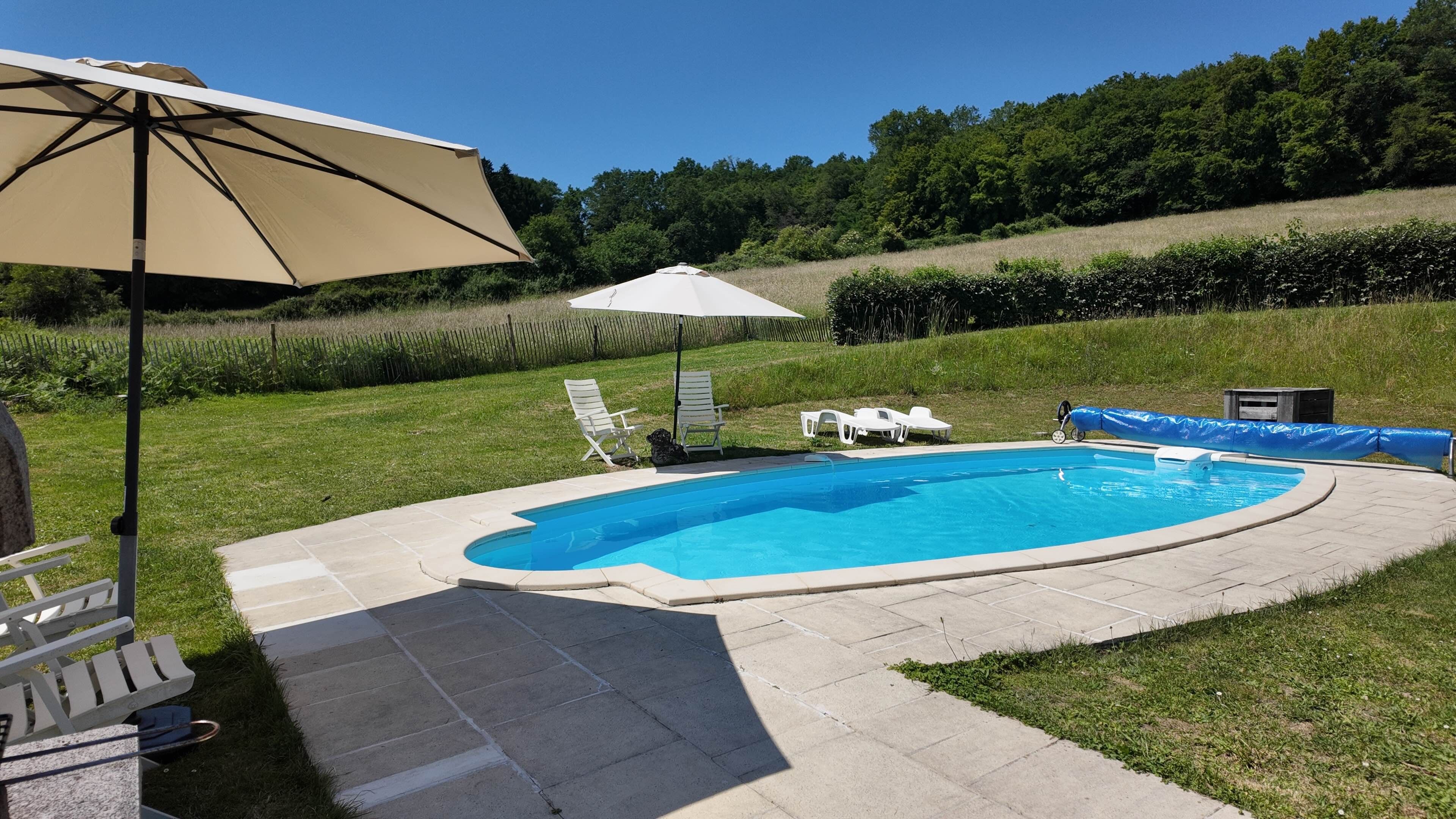 Un jardin avec une piscine, des chaises longues et un parasol.
