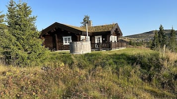 En hytte med stråtækt tag, omgivet af en græsmark og en skovklædt bakke.