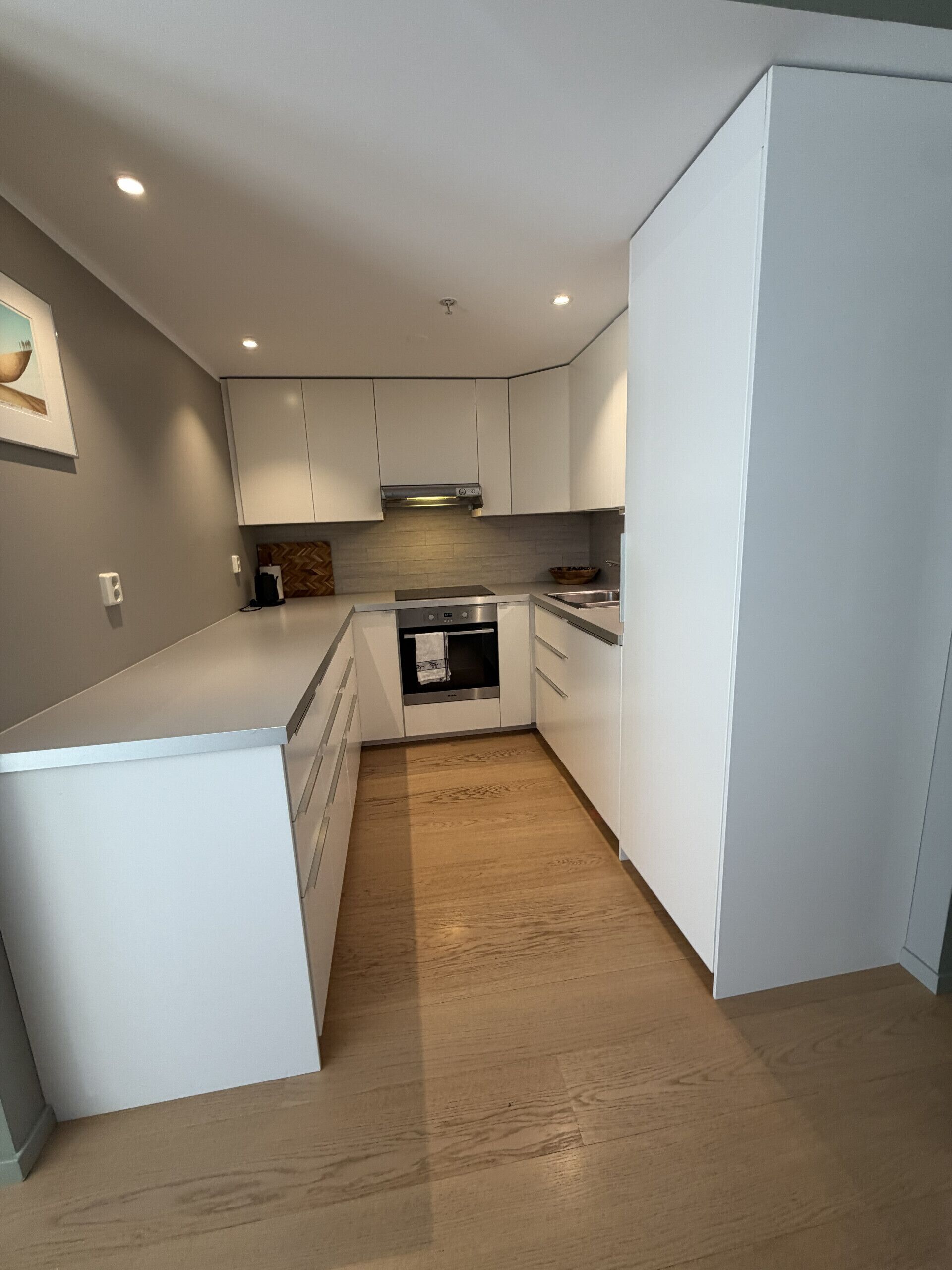 Fridge, oven, dishwasher, electric kettle