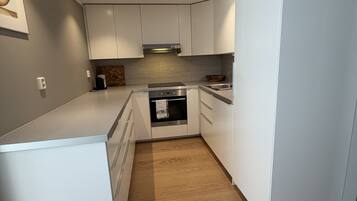Fridge, oven, dishwasher, electric kettle