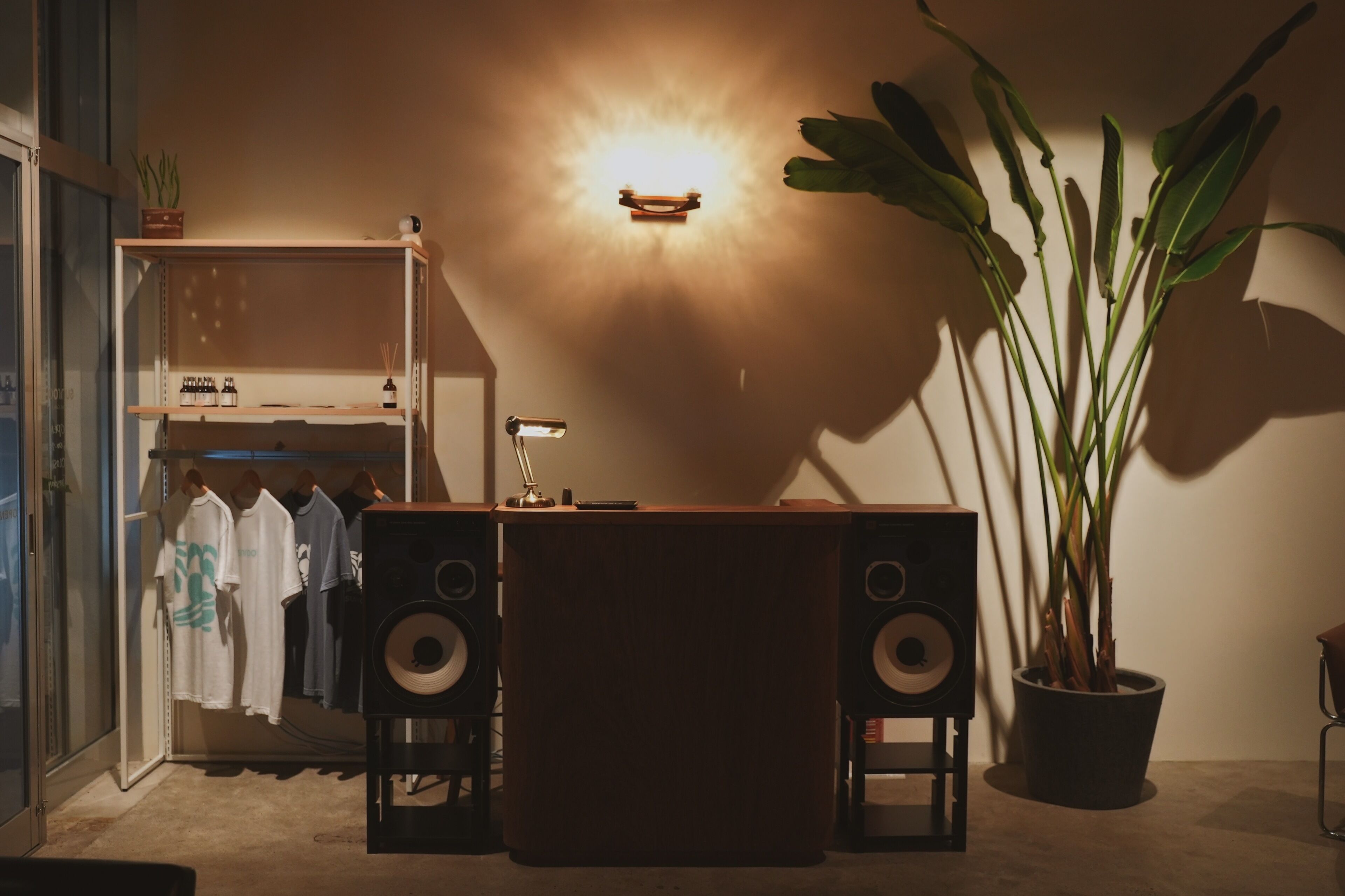 A room with a desk, speakers, a potted plant, and a clothing rack.