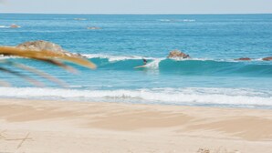 Surfing/boogie boarding - sunroom Hotel Cafe Bar (Miyazaki)