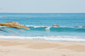 Surf o boogie board