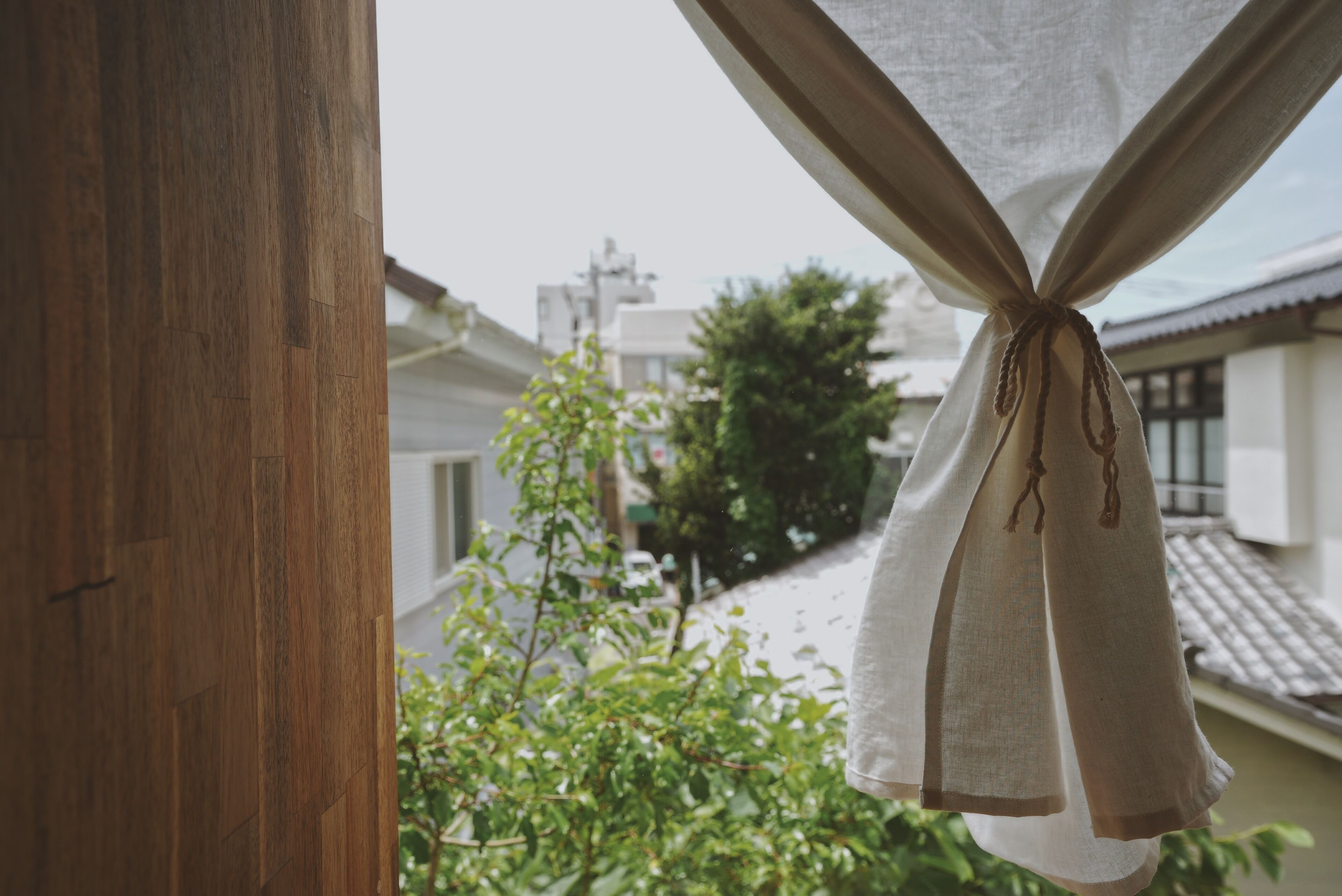 A view through a window with a curtain, a wooden door, and a glimpse of a residential area with houses and greenery.