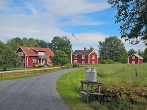 Esterni