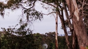 Un moulin à vent dans un parc, avec des arbres et une clôture.