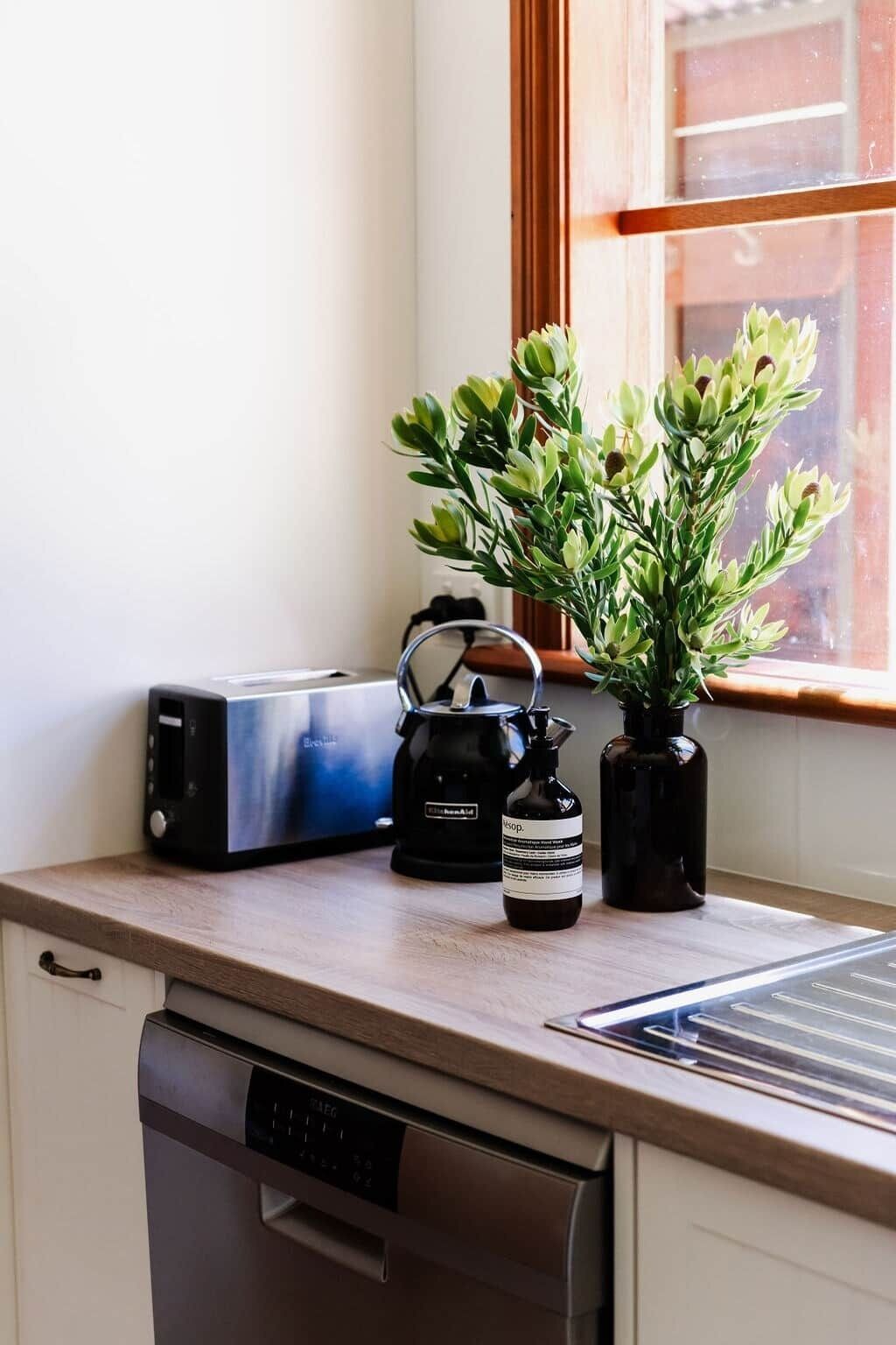 A kitchen counter with a toaster, kettle, and a potted plant.