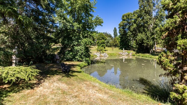 Property grounds - Le Jardin d'Eau - Grey Room (Lamothe-Montravel)