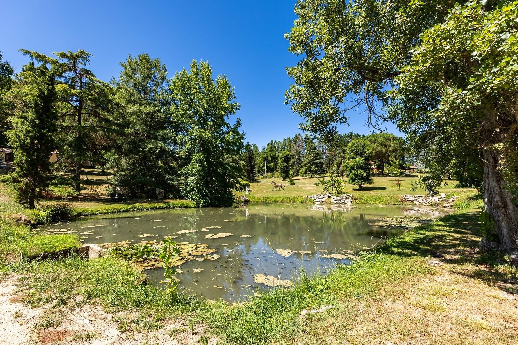 Un étang paisible, bordé d’une végétation luxuriante et d’arbres.