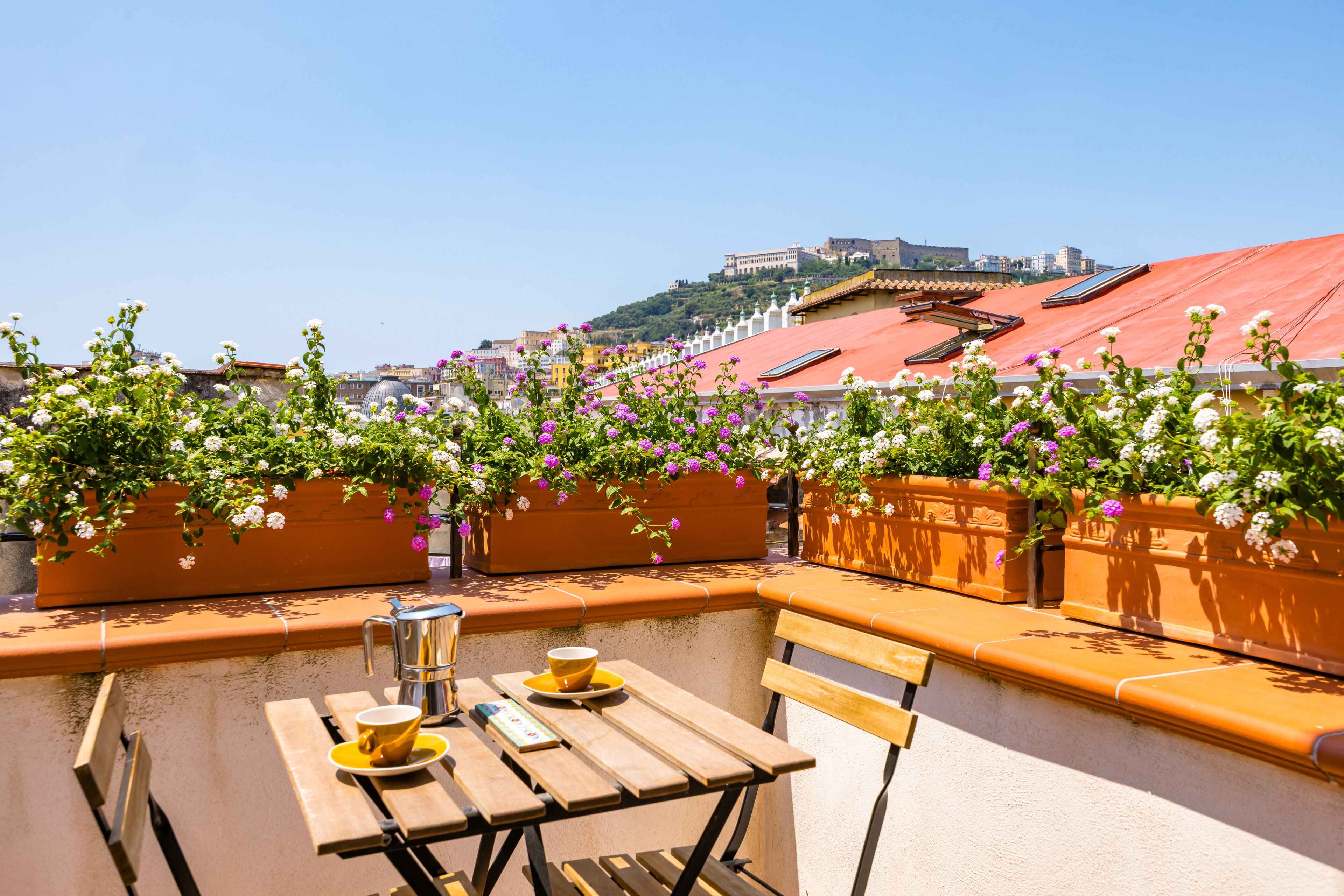 A rooftop terrace with a table, chairs, and potted plants.